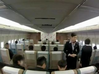 Perky stewardessen